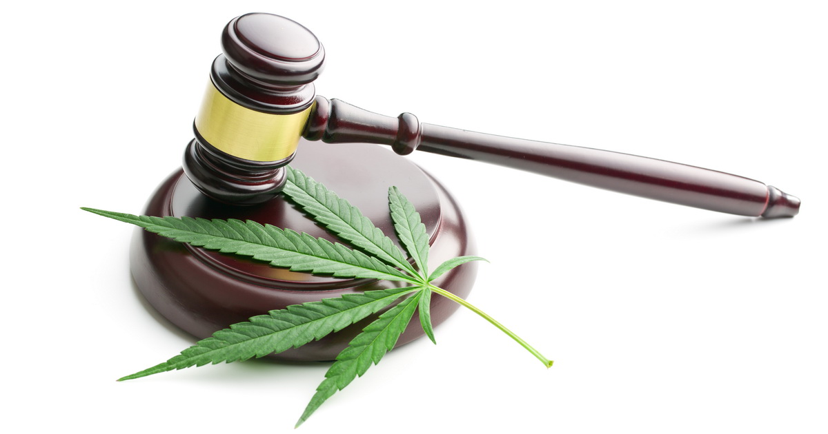 Writing a Perfect Essay on Marijuana Legalization